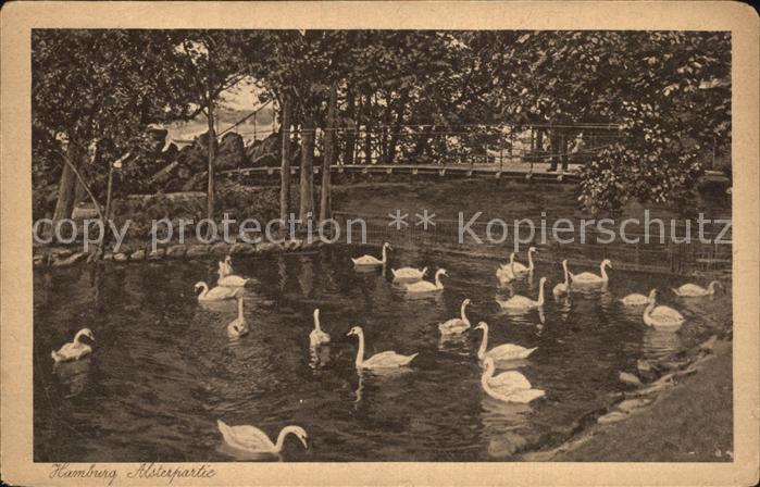 HAMBURG  CITY Alsterpartie mit Schwaenen