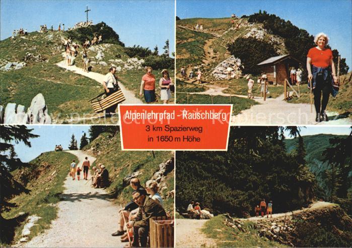Ruhpolding Bayern Alpenlehrpfad Rauschberg