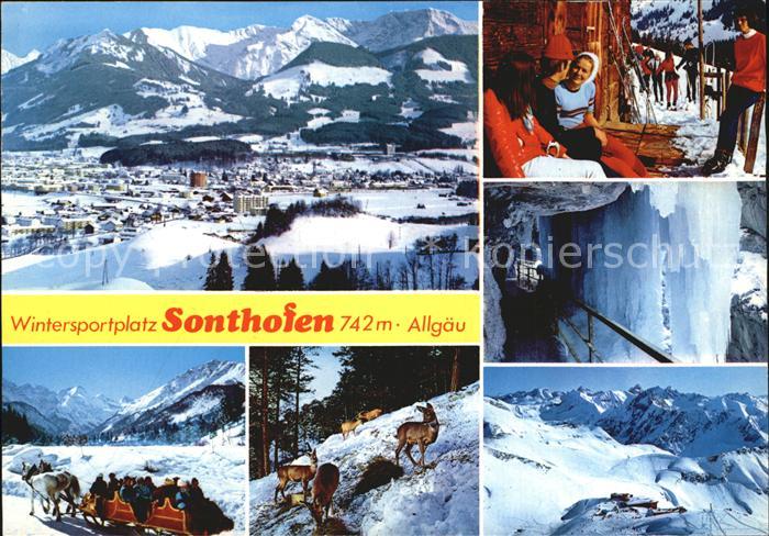 Sonthofen Oberallgaeu Pferdeschlitten Eiszapfen Wild
