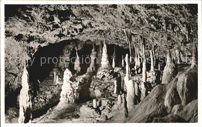 Hoehlen Caves Grottes Baerenhoehle Karlshoehle Erpfingen