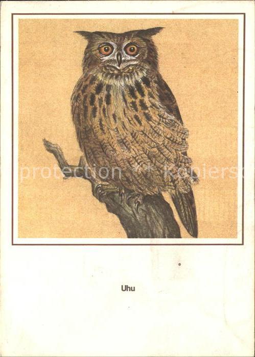 Voegel Birds Oiseaux Uccelli Pajaros-- Uhu Entwurf R. Schiller