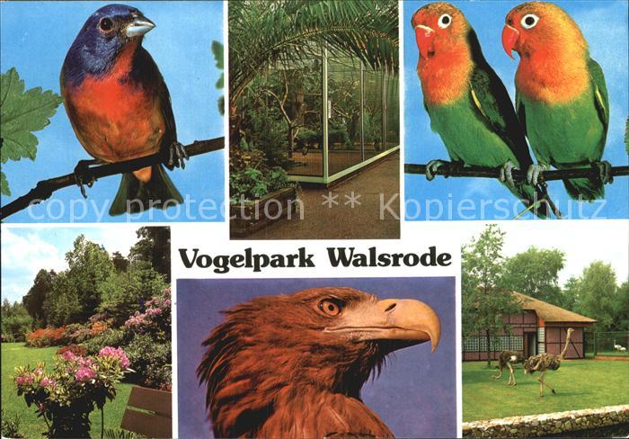 Voegel Birds Oiseaux Uccelli Pajaros-- Vogelpark Walsrode