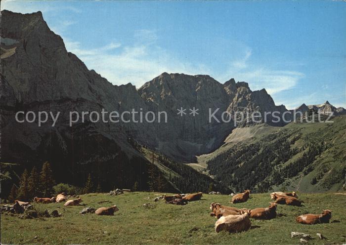 Kuehe Bins-Dreijaggen Spritzkarspitze Lalider