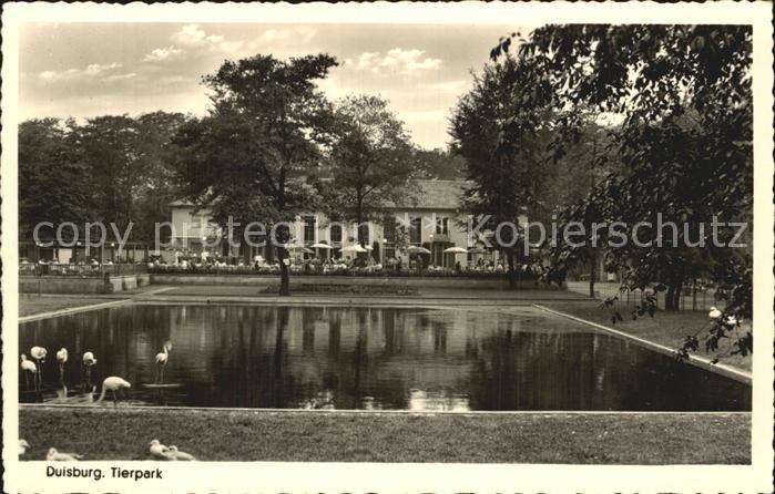 Duisburg Ruhr Tierpark Teich