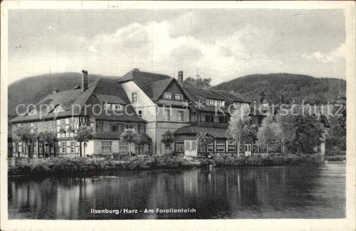 Ilsenburg Harz Am Forellenteich