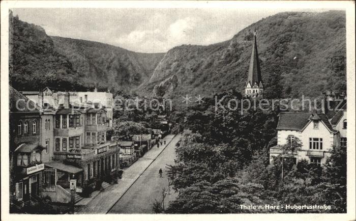 Thale Harz Hubertusstrasse