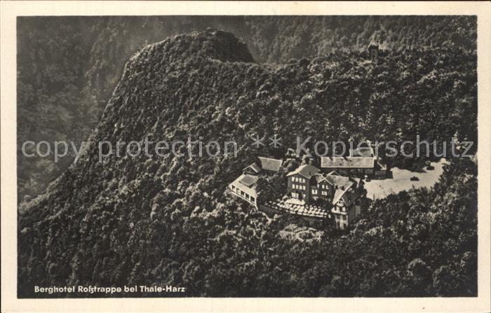 Thale Harz Berghotel Rosstrappe Fliegeraufnahme