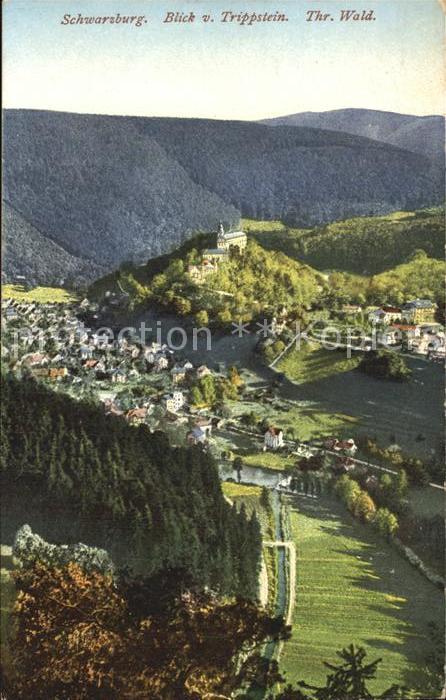 Schwarzburg Thueringer Wald Blick vom Trippstein