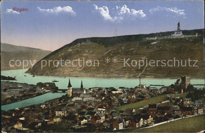 Bingen Rhein Panorama