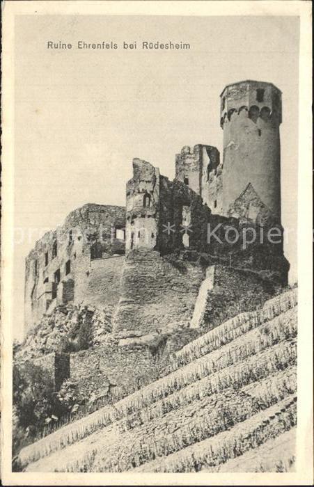 Ruedesheim Rhein Ruine Ehrenfels