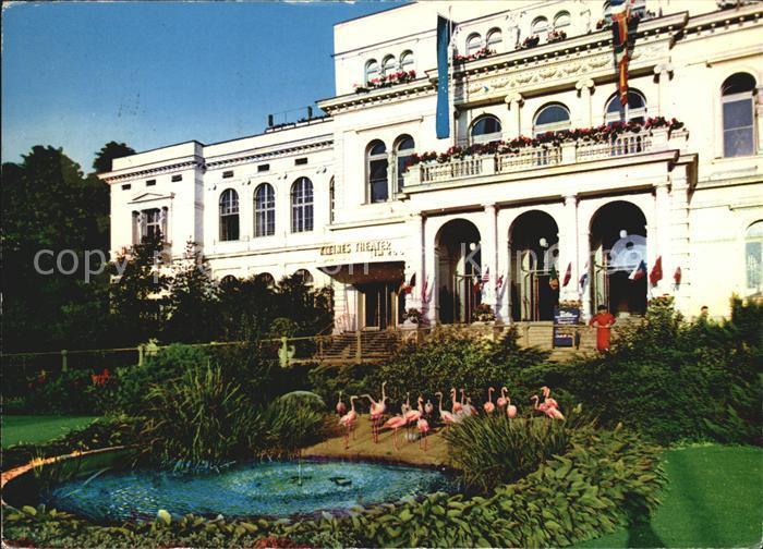 Frankfurt Main Flamingos am Gesellschaftshaus am Zoo