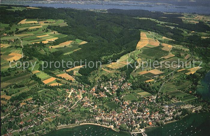 Wangen Bodensee Fliegeraufnahme