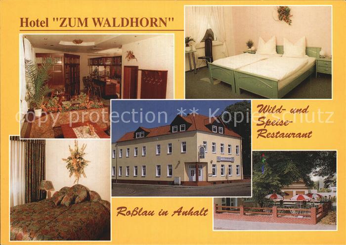 Rosslau Elbe Hotel Zum Waldhorn Gaststube Zimmer Terrasse