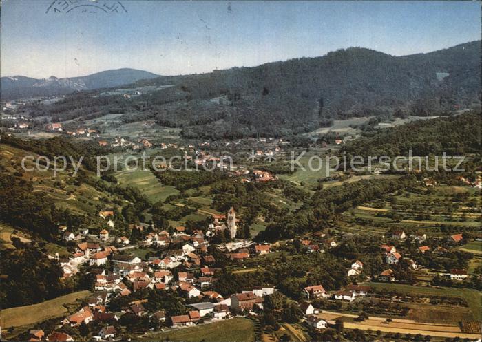 Neusatz Buehl Fliegeraufnahme