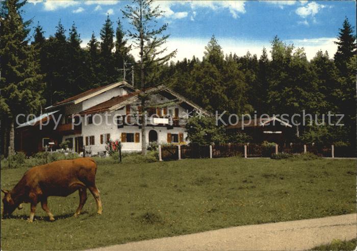 Mittenwald Bayern Gaestehaus Seewinkel