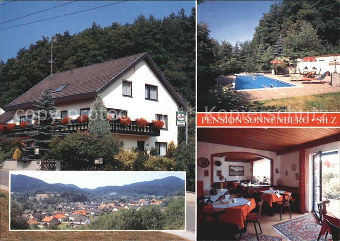 Silz Pfalz Pension Sonnenberg Swimming Pool