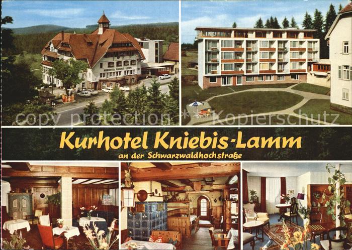 Lamm Kniebis Kurhotel Schwarzwaldhochstrasse