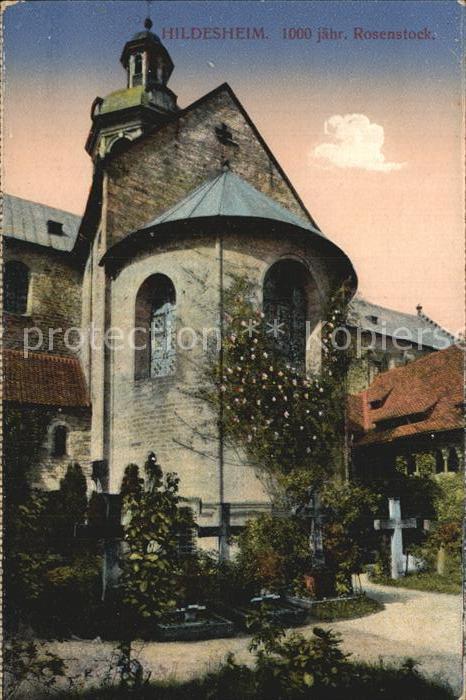 HILDESHEIM  CITY 1000jaehriger Rosenstock