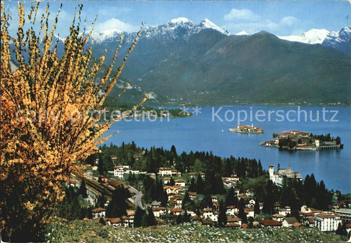 Stresa Lago Maggiore e le isole Borromee Inseln Baumbluete Alpenpanorama