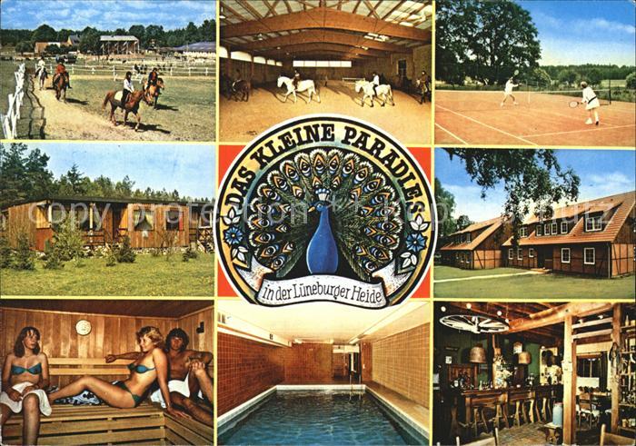 Sarenseck Ferienclub Lueneburger Heide Reiten Tennis Sauna Hallenbad