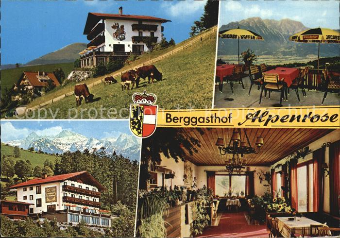 St Koloman Berggasthof Alpenrose Viehweide Kuehe Alpenblick