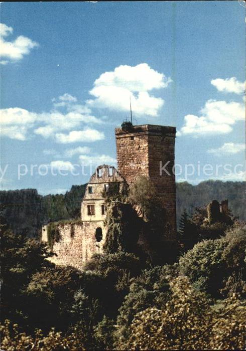 Zavelstein Burg Zavelstein im Schwarzwald Ruine