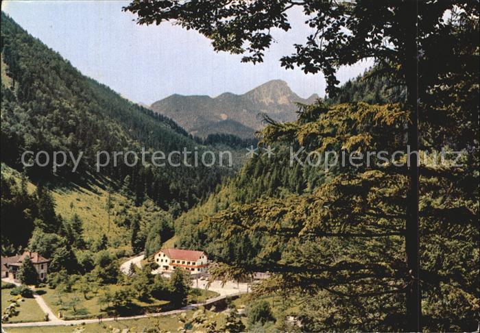 Schwarzau Gebirge Gasthaus zur Singerin