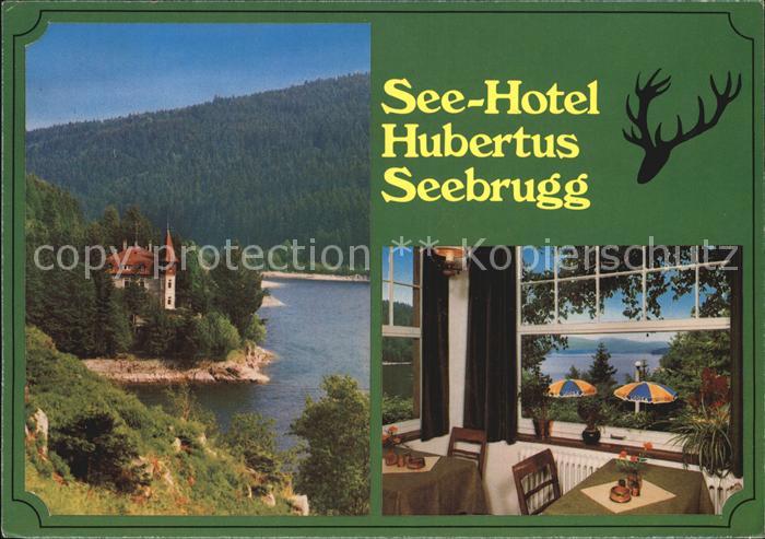 Seebrugg See Hotel Hubertus Schwarzwald