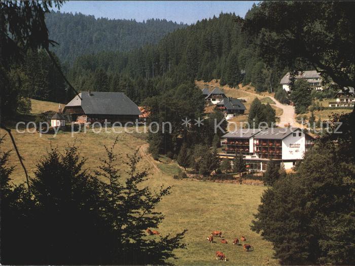 Hinterzarten Breisgau-Hochschwarzwald BW Hotel Pension Kesslermuehle Schwarzwald