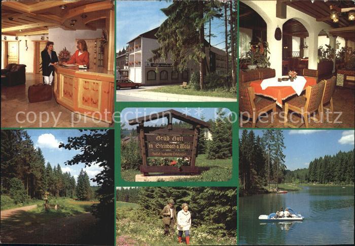 Steinbach Kronach Hotel Gasthof Pietz Waldweg Wandern See