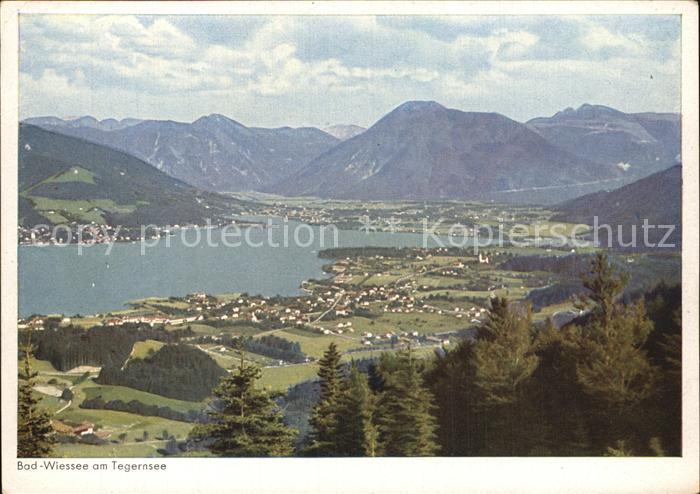 Bad Wiessee Panorama Tegernsee Alpen