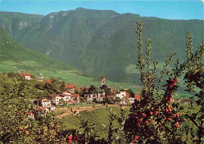 Dorf-Tirol Suedtirol IT Panorama