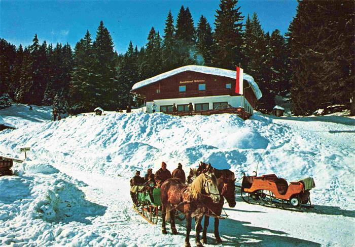 Seefeld Tirol Almwirtschaft Wildmoos Pferdeschlitten