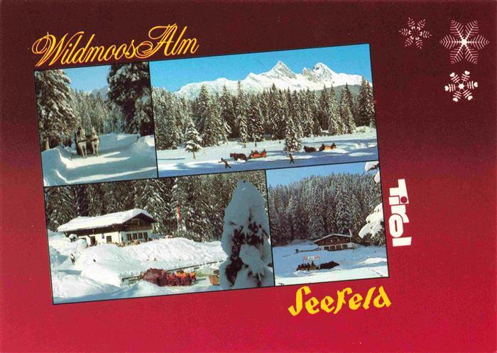 Seefeld Tirol Winterpanorama Wildmoos-Alm