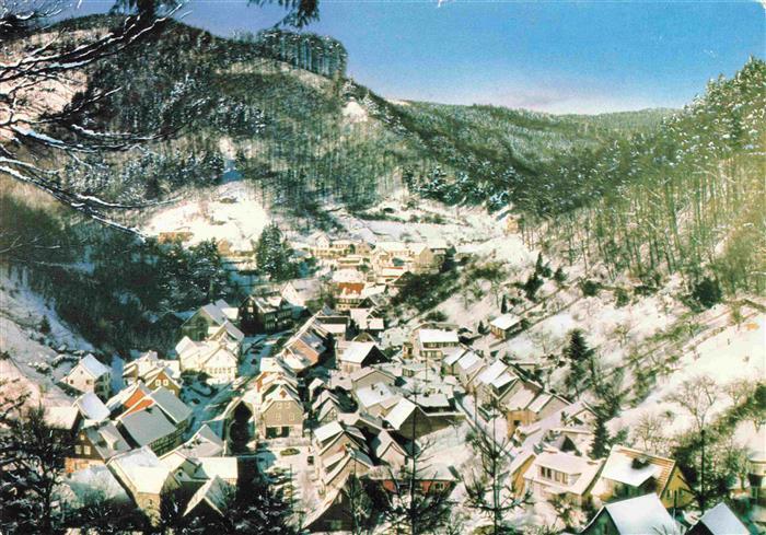 Zorge Harz Winterpanorama Luftkurort