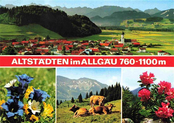 Altstaedten Allgaeu Panorama Alpen Almvieh Kuehe Alpenflora