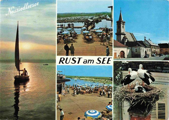 Rust Neusiedlersee Burgenland AT Segeln Hafen Restaurant Terrasse Storchennest S