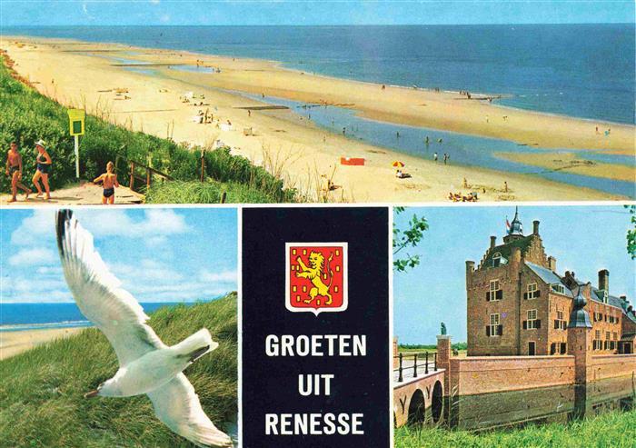 Renesse aan Zee NL Kuestenpanorama Strand Moewe Schloss