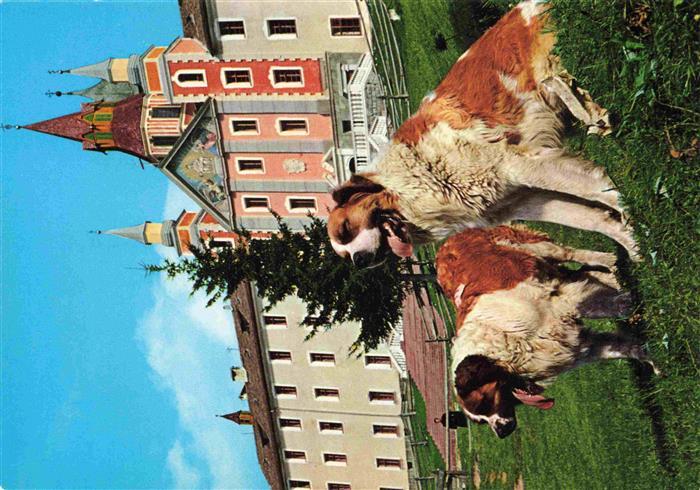 Monte San Pietro Petersberg Bolzano Suedtirol IT Santuario di Pietralba Maria We