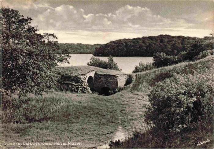 Viborg  Vestsjalland DK Udsigt ved Hald Ruine