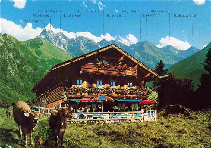 Schwand Oberstdorf Berggaststaette Hochleite Almvieh Alpenpanorama
