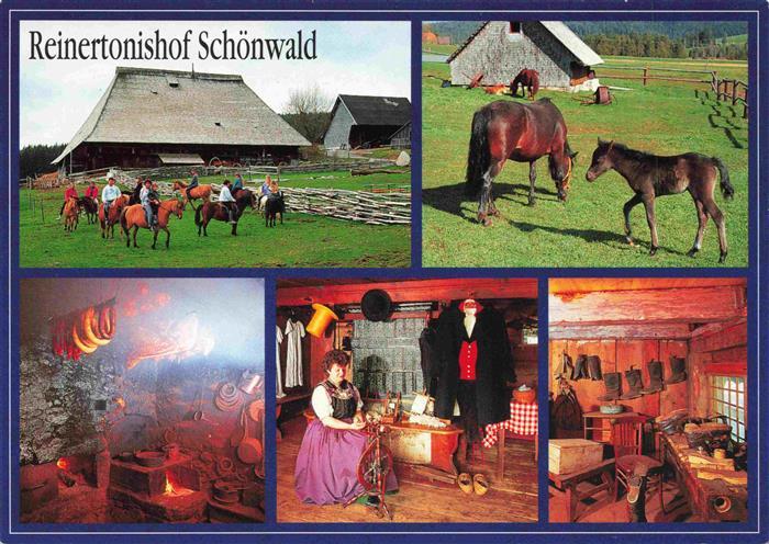 Schoenwald Schwarzwald Reintertonishof Schoenwald Reiterhof Bauernhofmuseum Deta