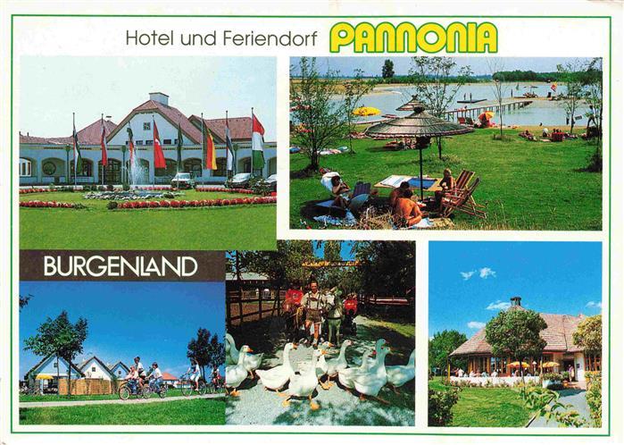 Pamhagen Hotel und Feriendorf Pannonia Radfahren Gaense Terrasse Liegewiese