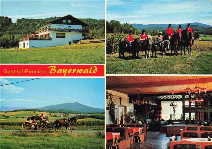 Bad Liebenstein Gasthof Pension Bayerwald Reitergruppe Pferdekutsche Gastraum