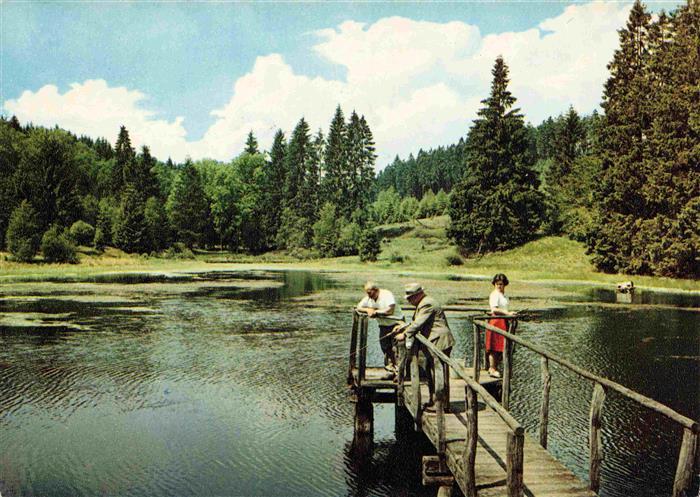 Lakenhaus Steg am Lakenhausteich
