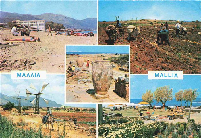 Mallia Crete Strand Feldarbeit Windmuehlen