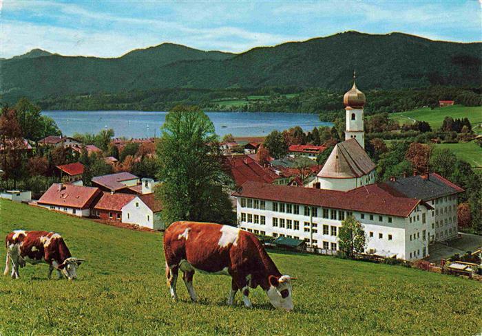 Gmund Tegernsee Bayern Ortsmotiv mit Kirche Kuhweide