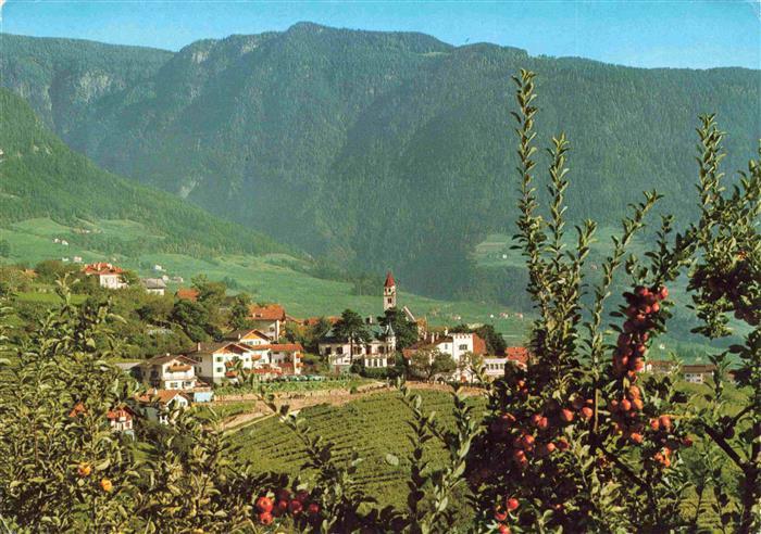 Tirolo Tirol Dorf Merano Bolzano IT Panorama