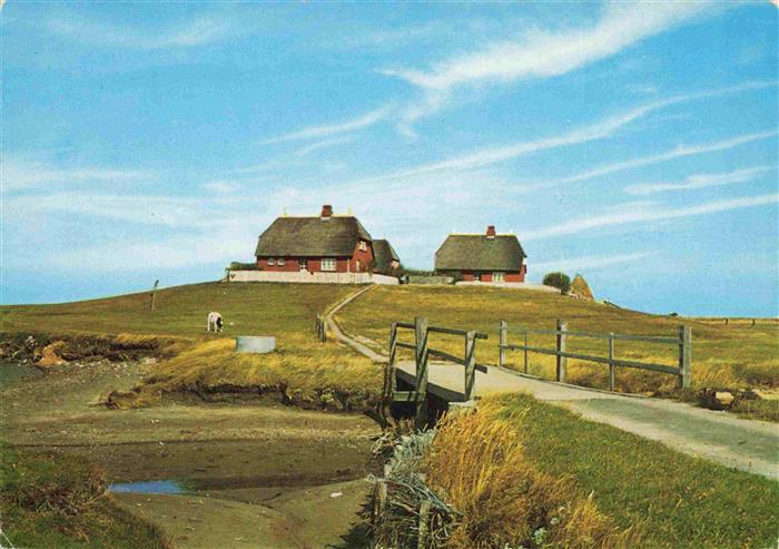 Hallig Hooge Westerwarft