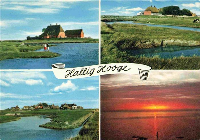 Hallig Hooge Westerwarft Teilansichten Sonnenuntergang